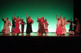 gala-solidaria-flamenco-edliceolapaz-07