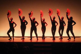 gala-solidaria-flamenco-edliceolapaz-22