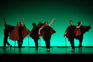 gala-solidaria-flamenco-edliceolapaz-38