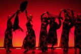 gala-solidaria-flamenco-edliceolapaz-45