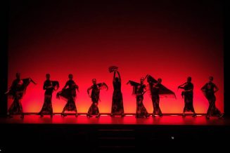 gala-solidaria-flamenco-edliceolapaz-46